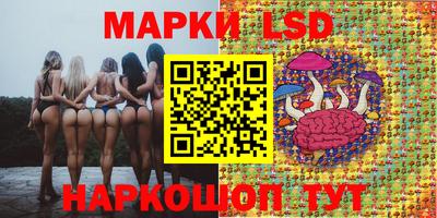 индика Волгодонск
