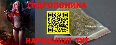 мдпв Гатчина