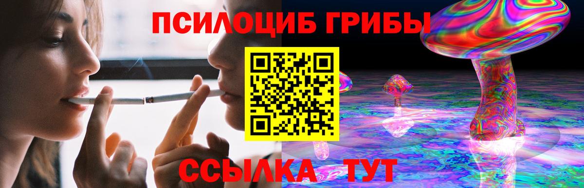 Псилоцибиновые грибы MAGIC MUSHROOMS  Вход с VPN  Кандалакша 
