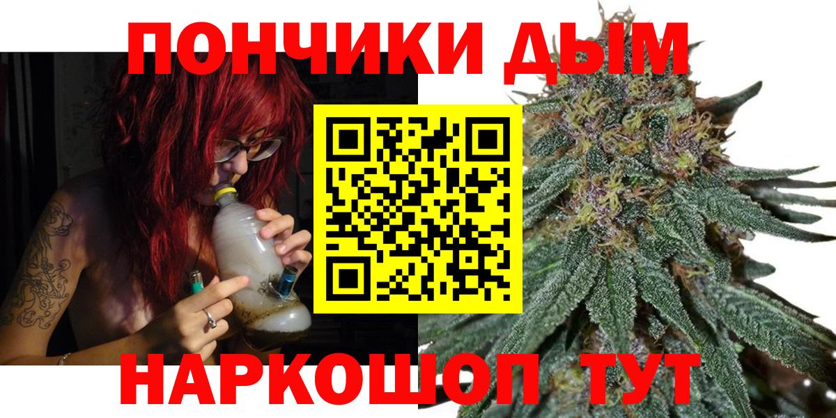 Каннабис планчик Кандалакша